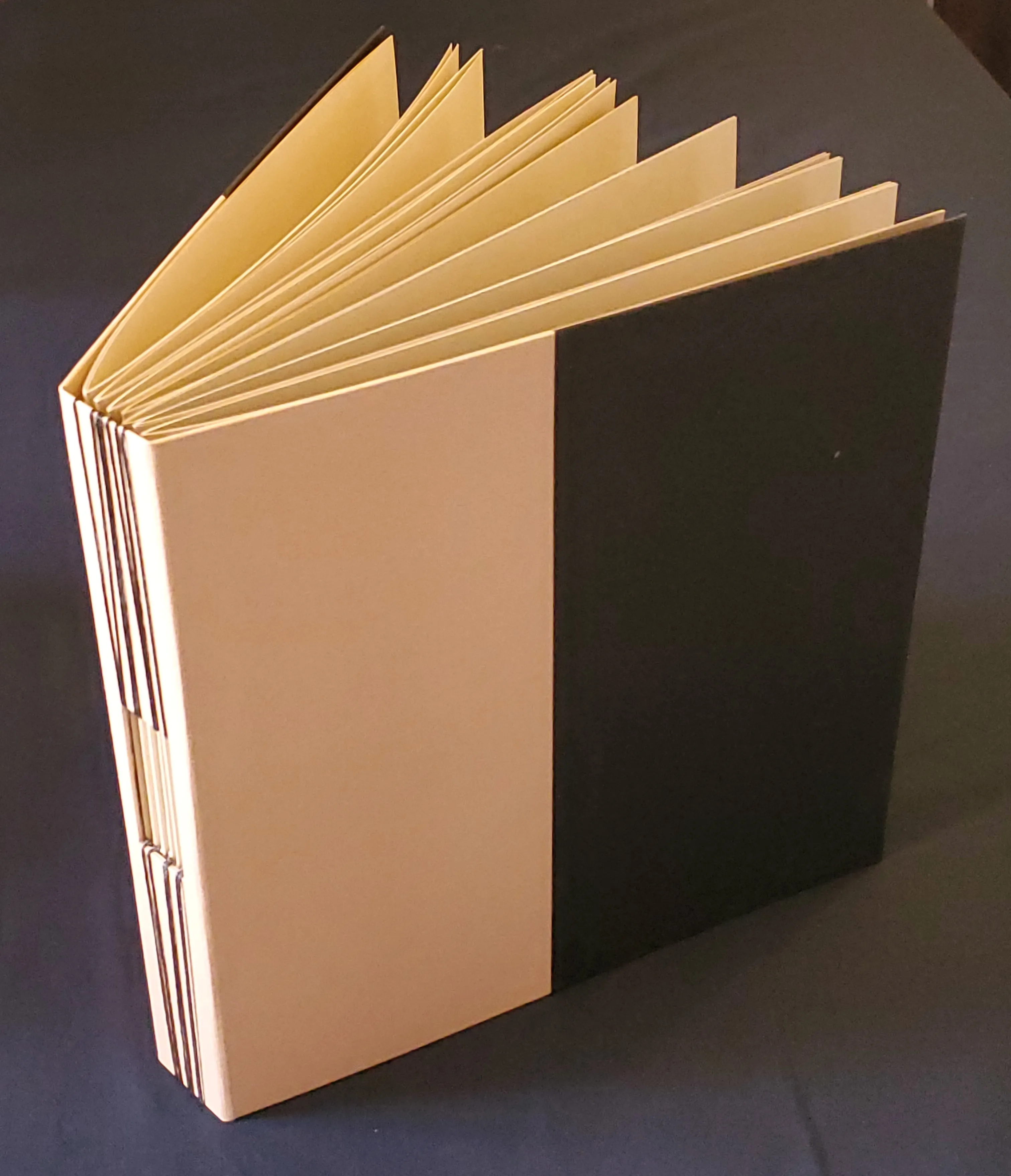 Grand album - noir et beige