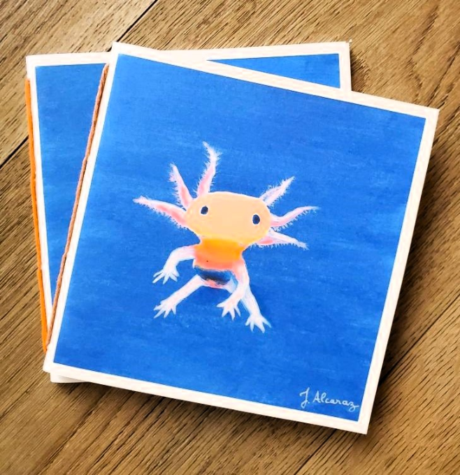 Carnet "Animaux aquatiques" - Axolotl