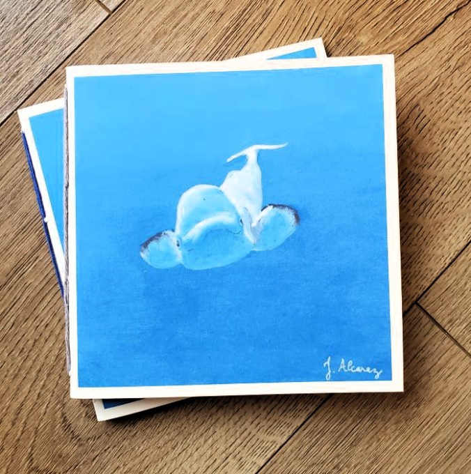 Carnet "Animaux aquatiques" - Béluga