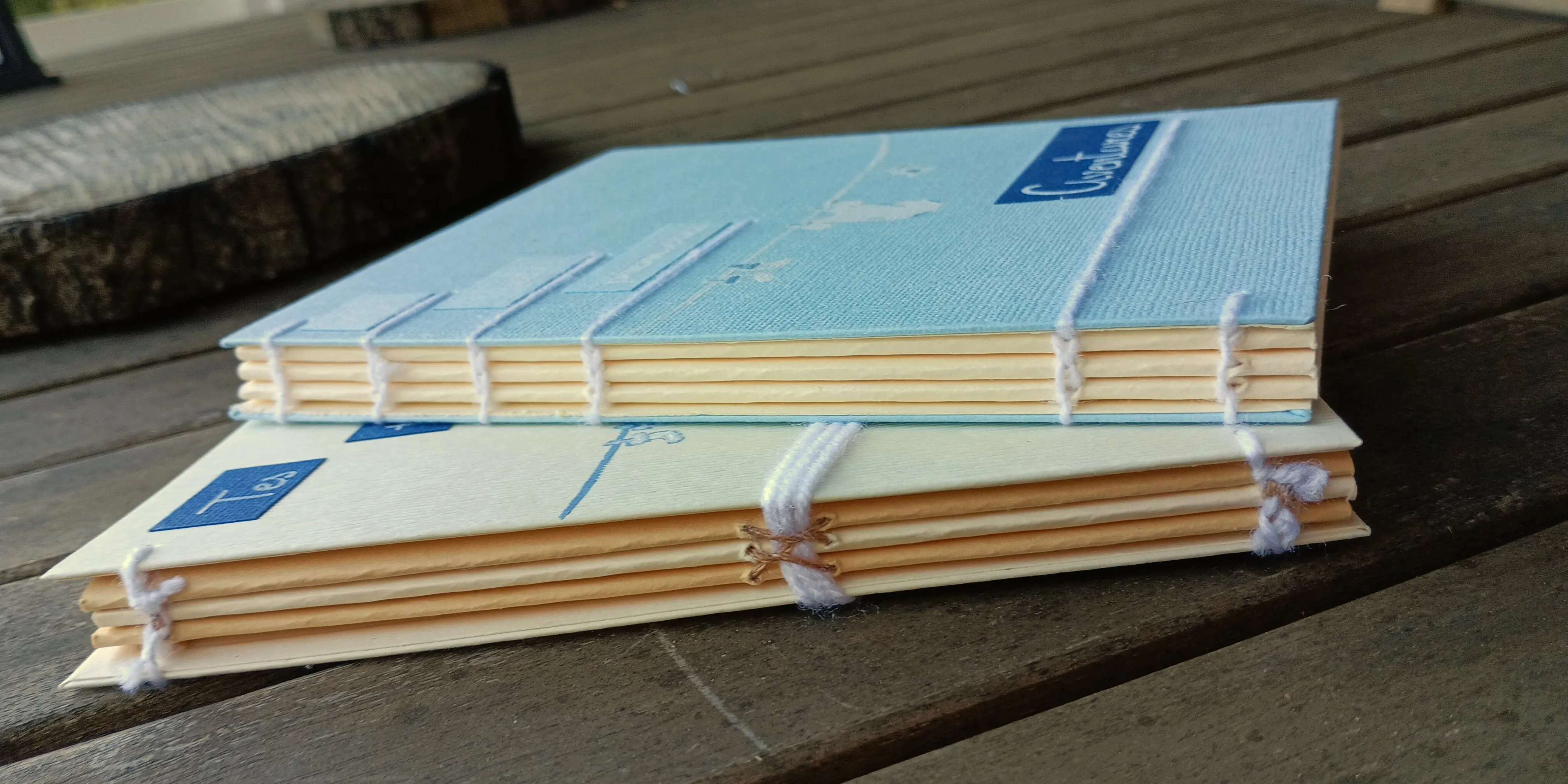 Dos des carnets "Tes toutes premières aventures"