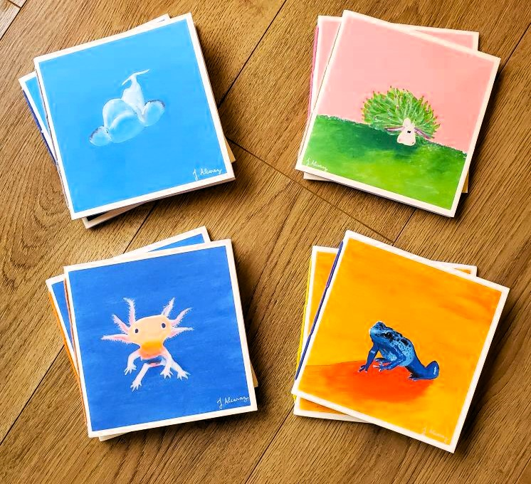 Carnets "Animaux aquatiques