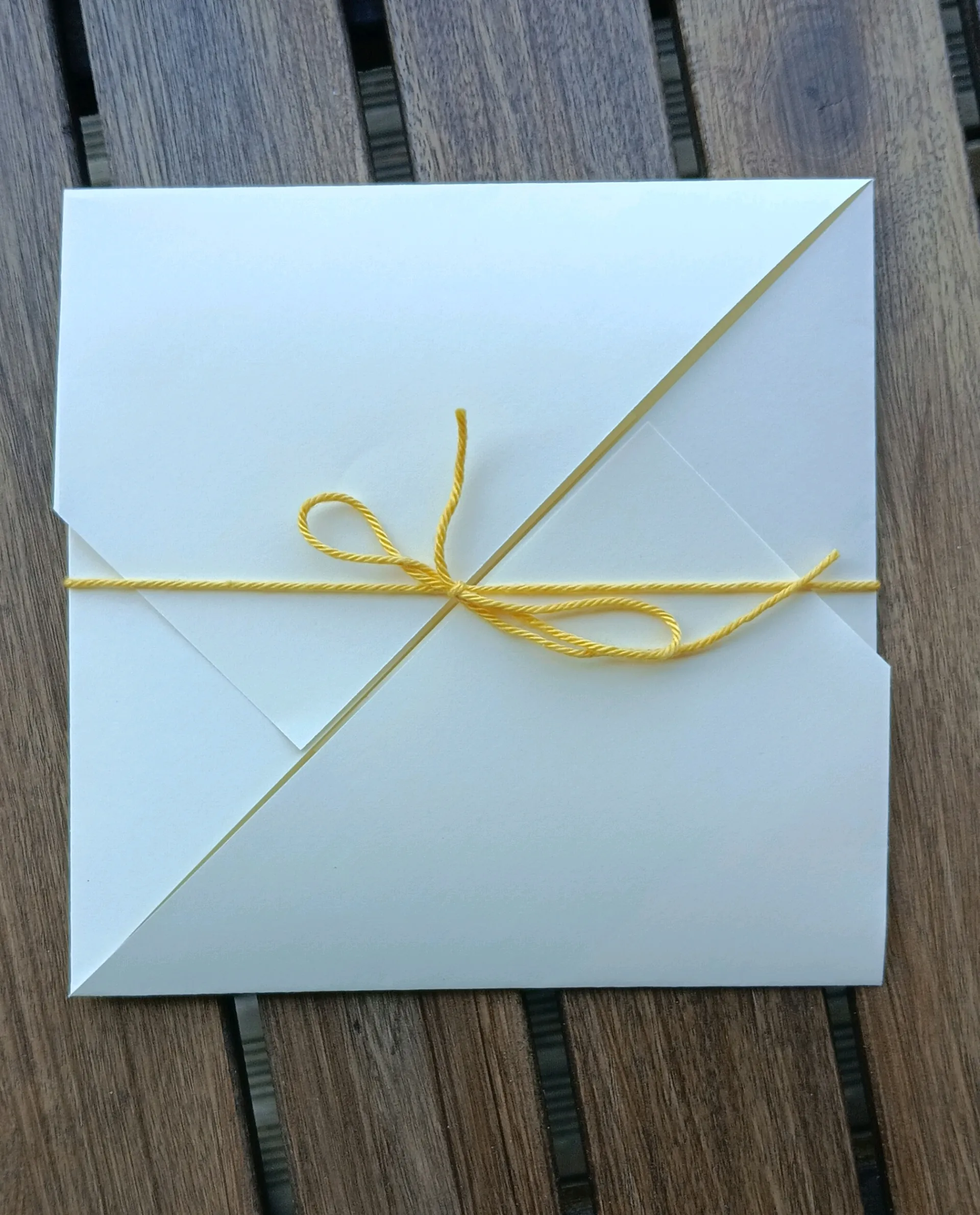 Enveloppe carrée pour les cartes "Animaux aquatiques"