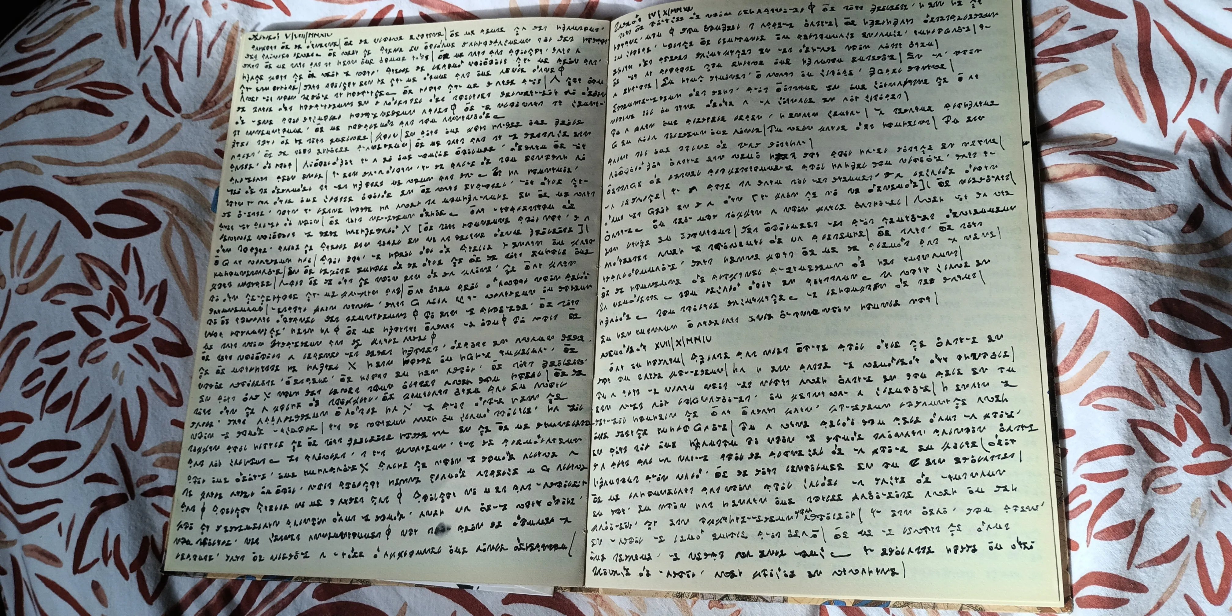Journal intime de Juliette Alcaraz