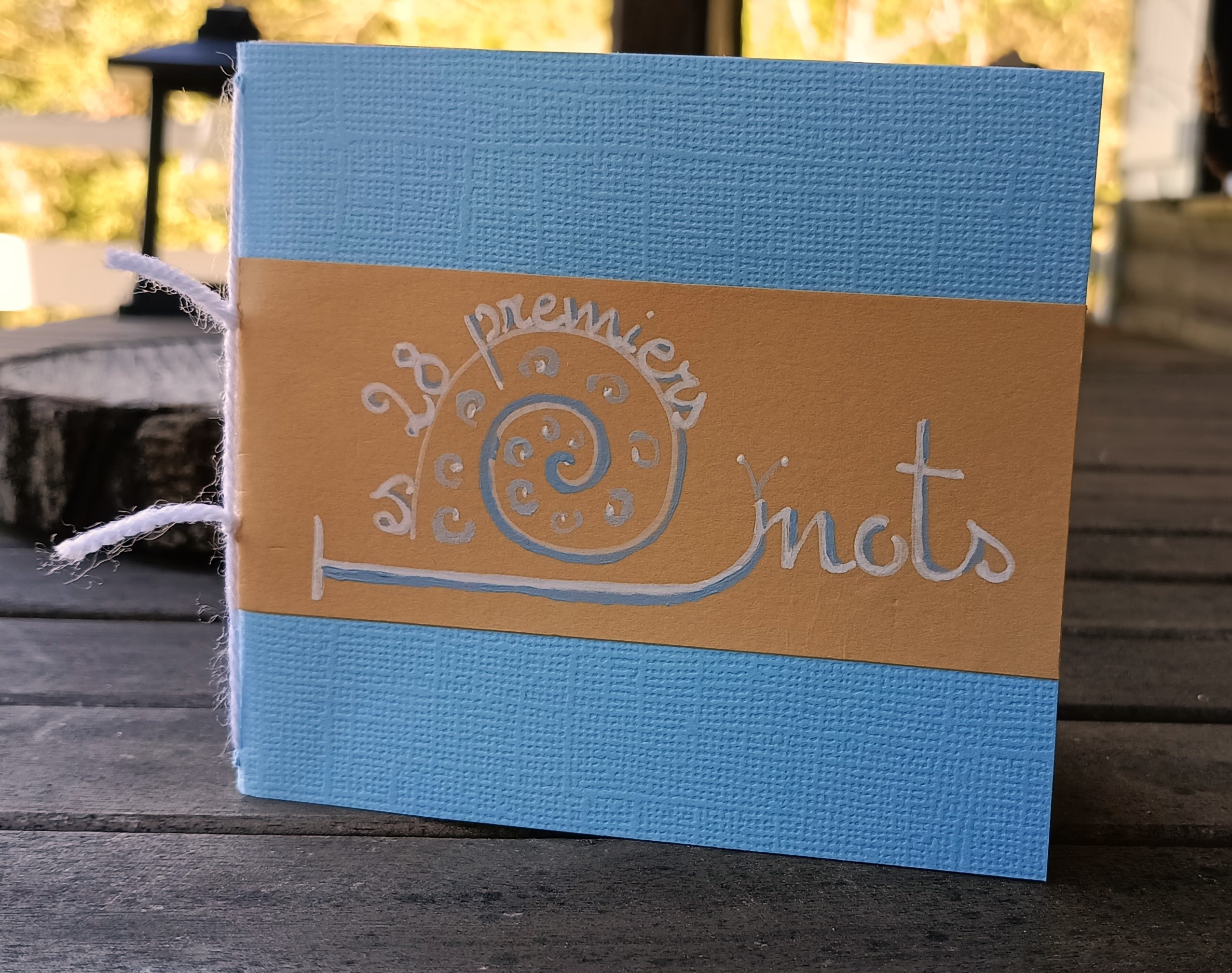 Carnet des 28 premiers mots de bébé