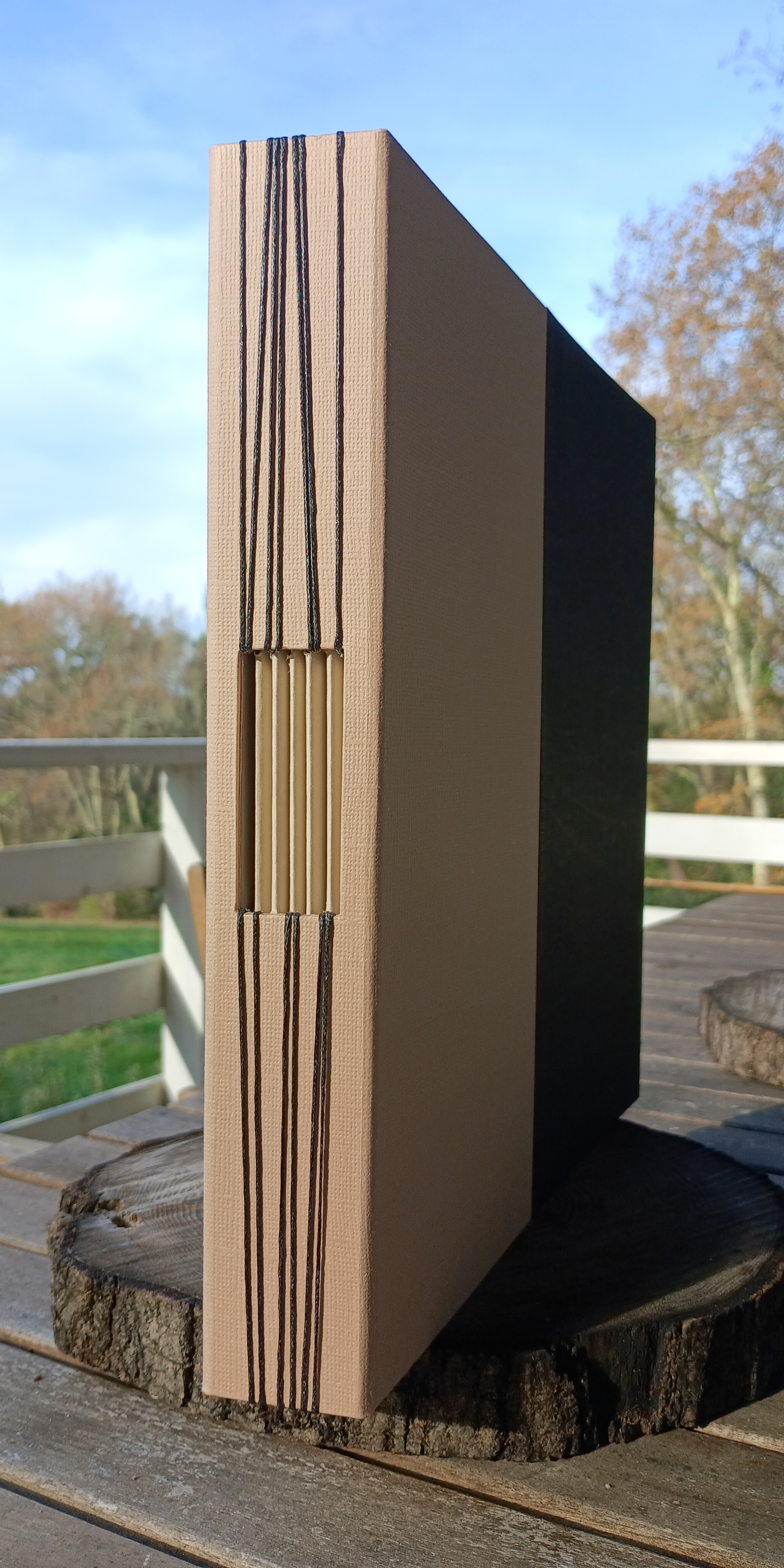 Grand album - noir et beige