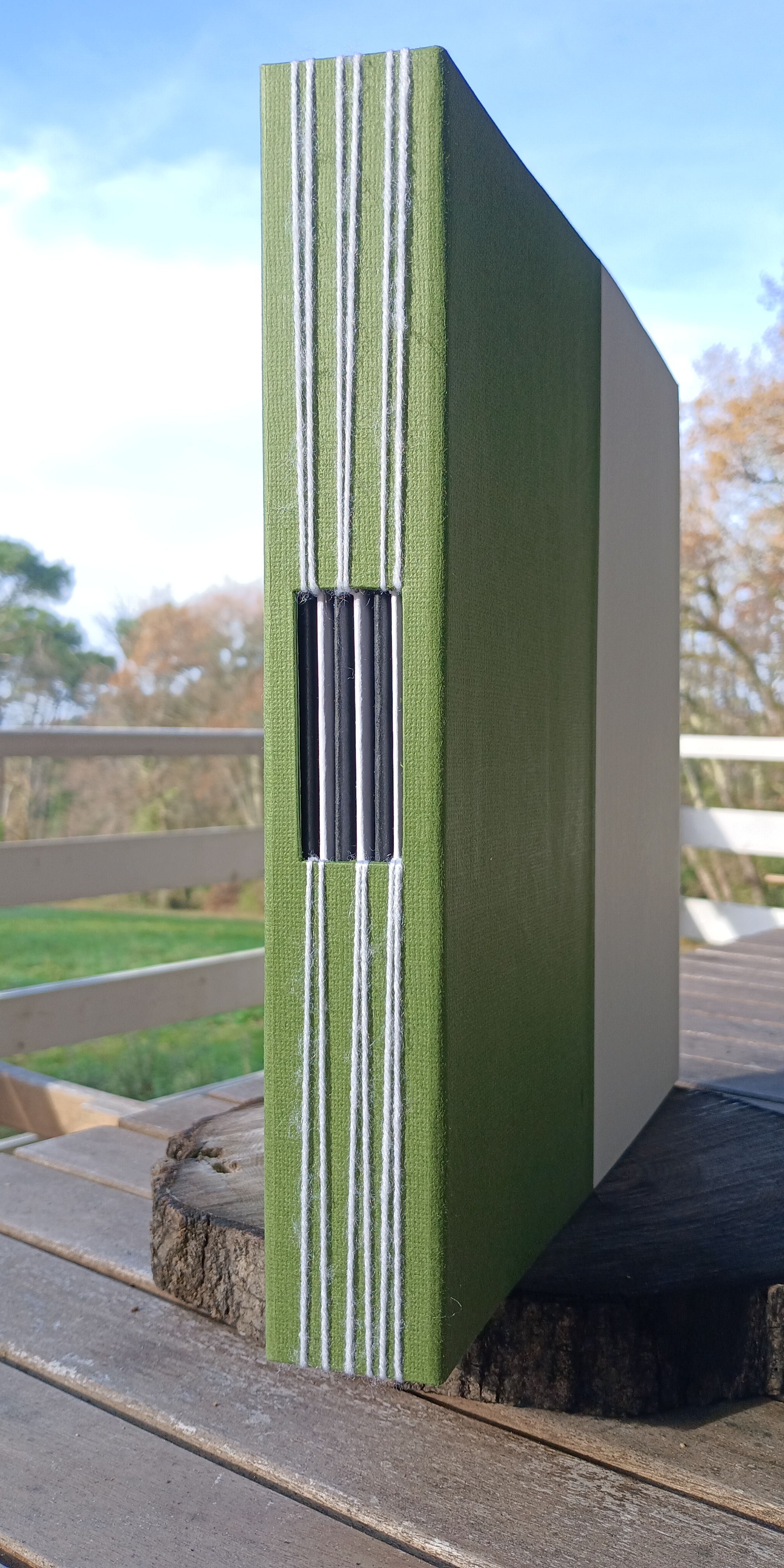 Grand album - vert et blanc